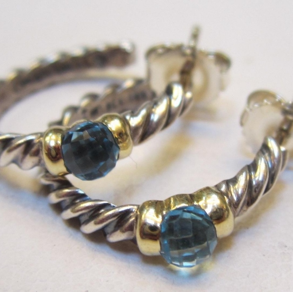 Hampton hoops earrings